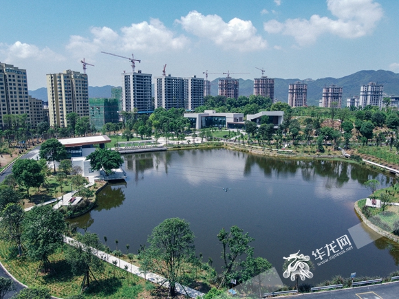 重慶北碚蔡家動態(tài)更新，自然美景探索與治愈之旅