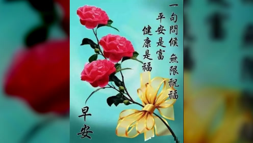 清晨寄語(yǔ)，巷弄深處的獨(dú)特味道，喚醒心靈的力量